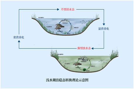 我國水生態環境修復現狀分析解讀(上)- 我國水生態環境修復現狀分析解讀(上)-