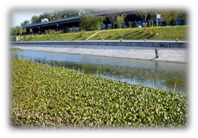 我國(guó)水生態(tài)環(huán)境修復(fù)現(xiàn)狀分析解讀(下)- 我國(guó)水生態(tài)環(huán)境修復(fù)現(xiàn)狀分析解讀(下)-