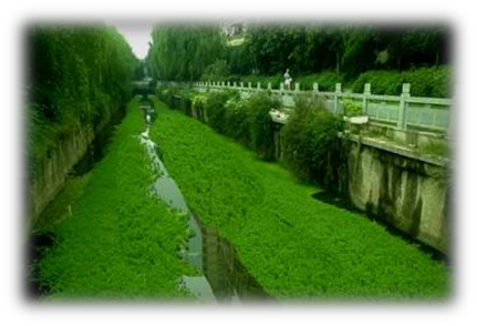 我國(guó)水生態(tài)環(huán)境修復(fù)現(xiàn)狀分析解讀(下)- 我國(guó)水生態(tài)環(huán)境修復(fù)現(xiàn)狀分析解讀(下)-