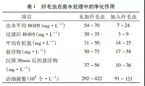 活性污泥中毒的原因及控制調節- 活性污泥中毒的原因及控制調節-