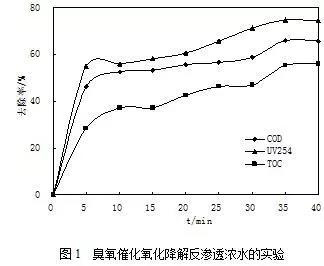 臭氧(催化)氧化技術在污水處理廠提標改造中的應用- 臭氧(催化)氧化技術在污水處理廠提標改造中的應用-