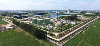 將“碳”進行到底！農業農村減排固碳“加速中”