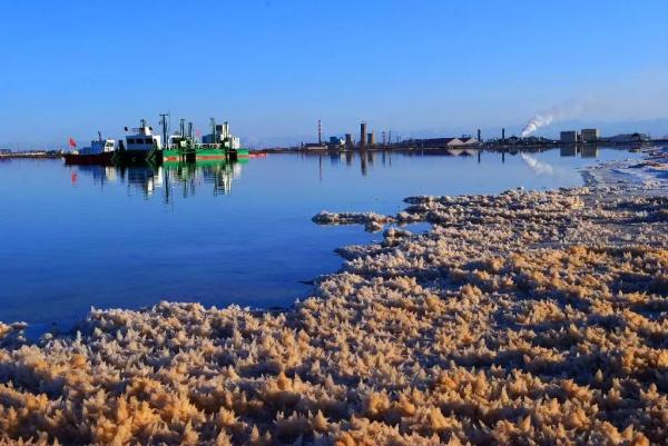 上海國際環(huán)保展|青海省發(fā)布最新生態(tài)環(huán)境報告